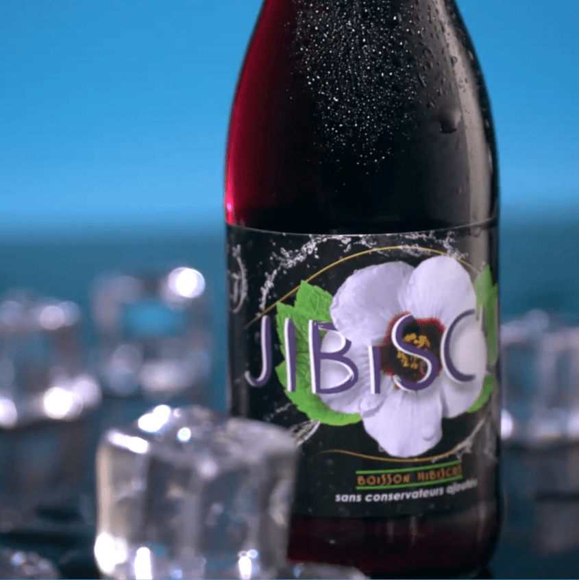 Jibiscus logo